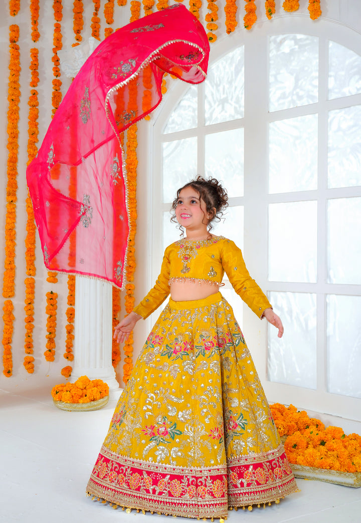 Kashees Moomal Collection | KMC-2 |