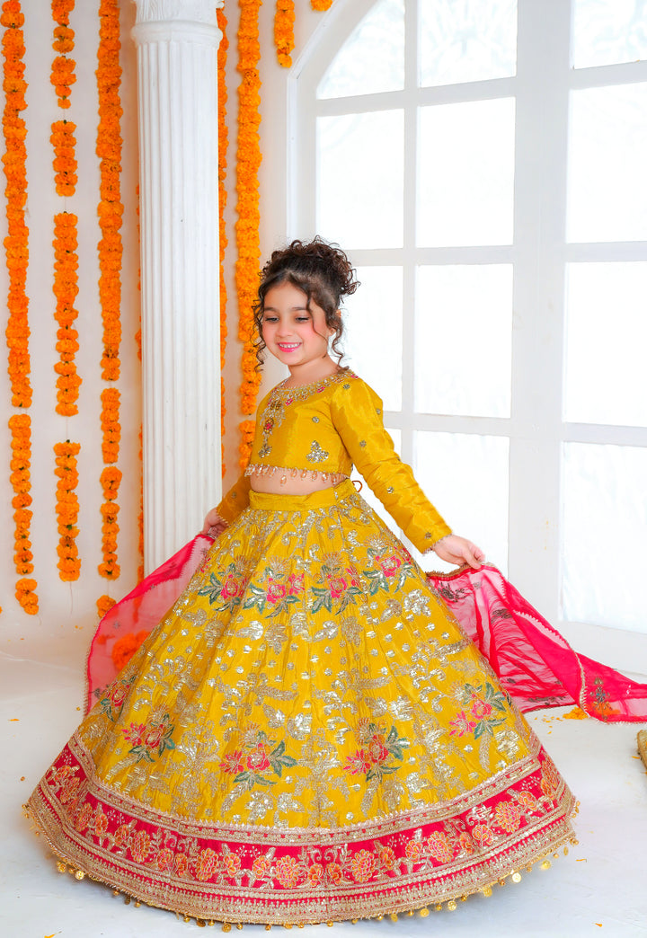 Kashees Moomal Collection | KMC-2 |