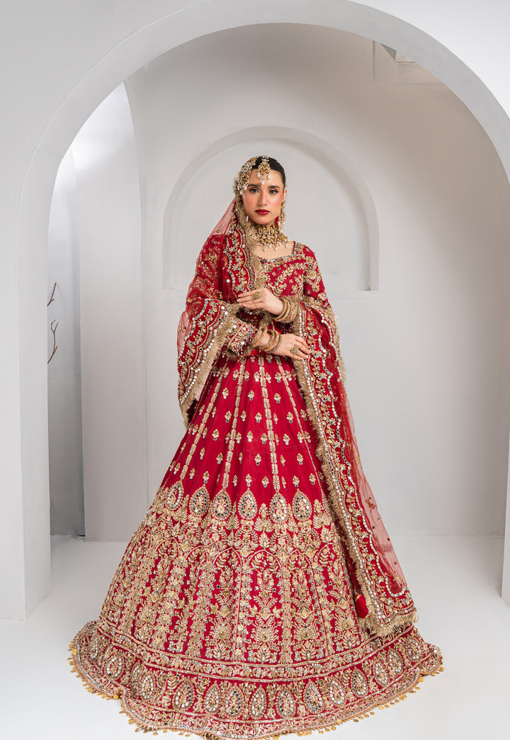 Kashees Bridal Wear| KBW-096 |