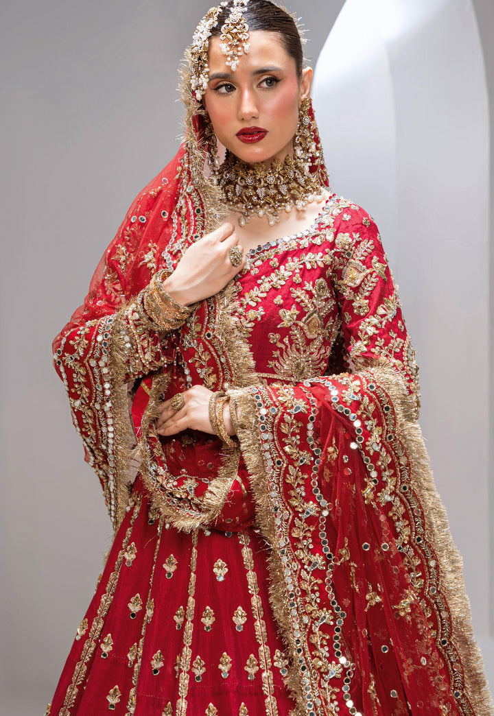 Kashees Bridal Wear| KBW-096 |