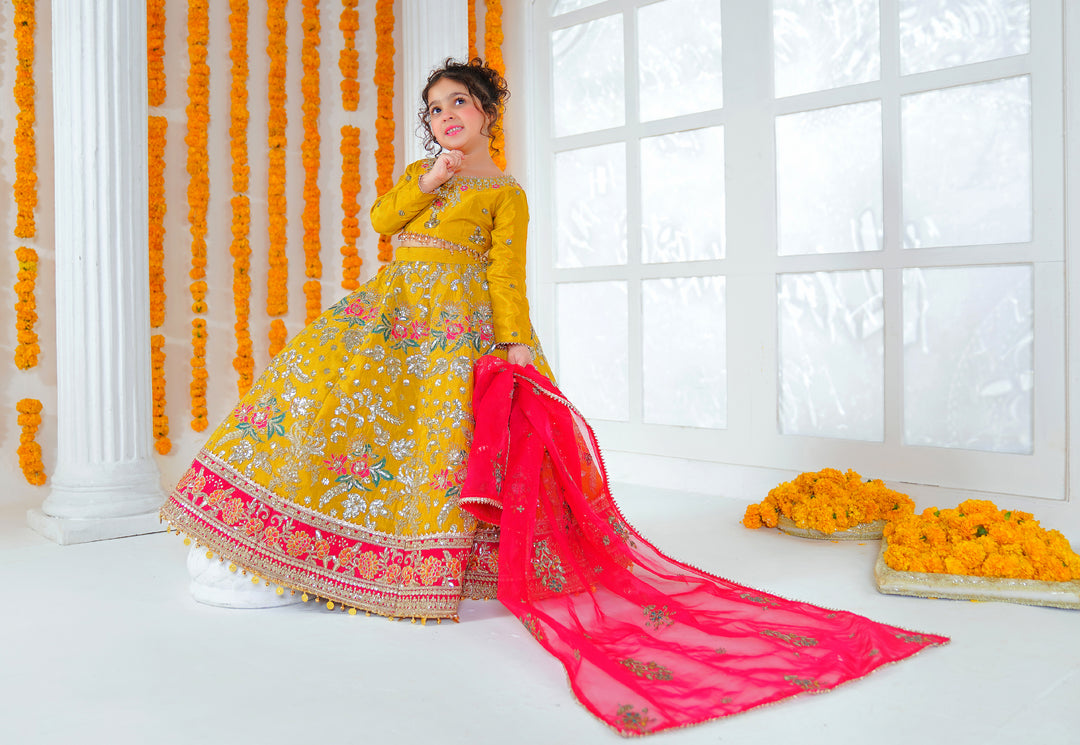 Kashees Moomal Collection | KMC-2 |