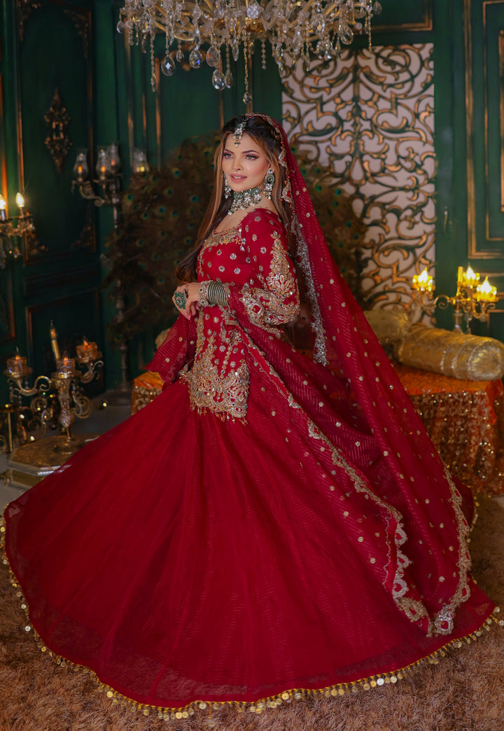 RAANIYA PARTY WEAR IN SHAHNAEE | KSCC-012 |