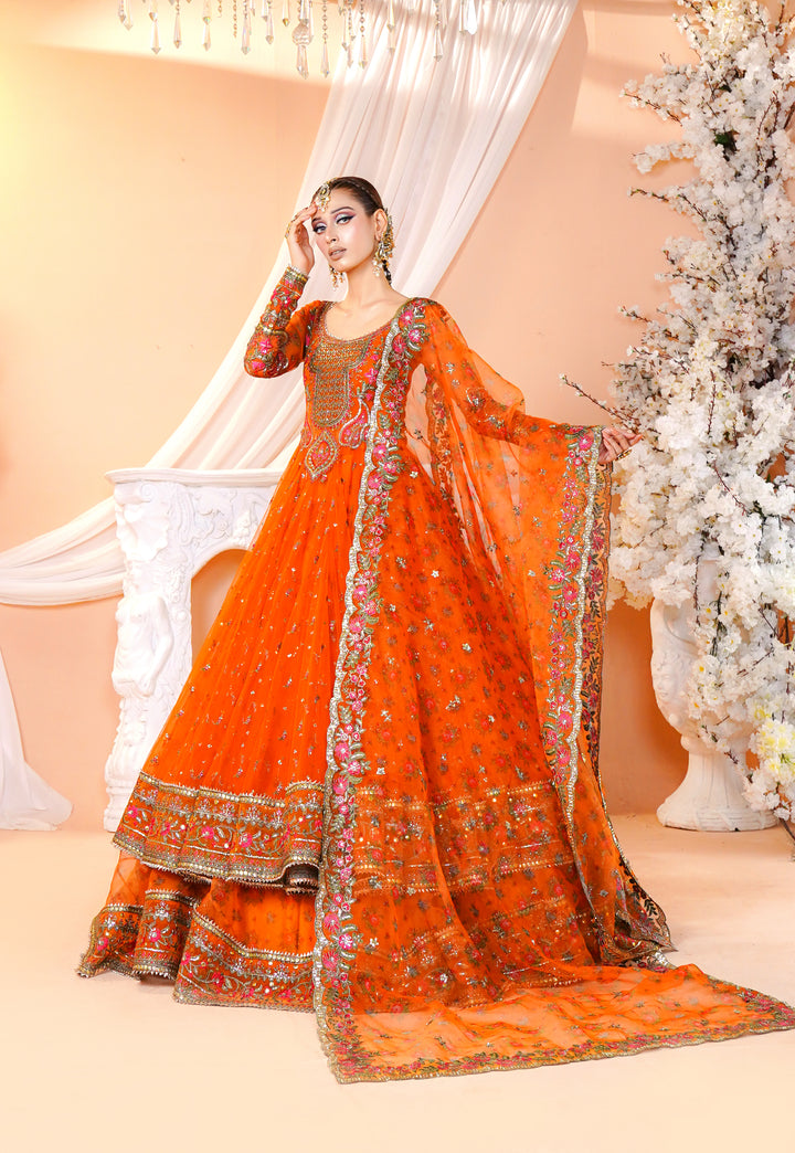 Kashees Naqsh Collection| KNNC-5|