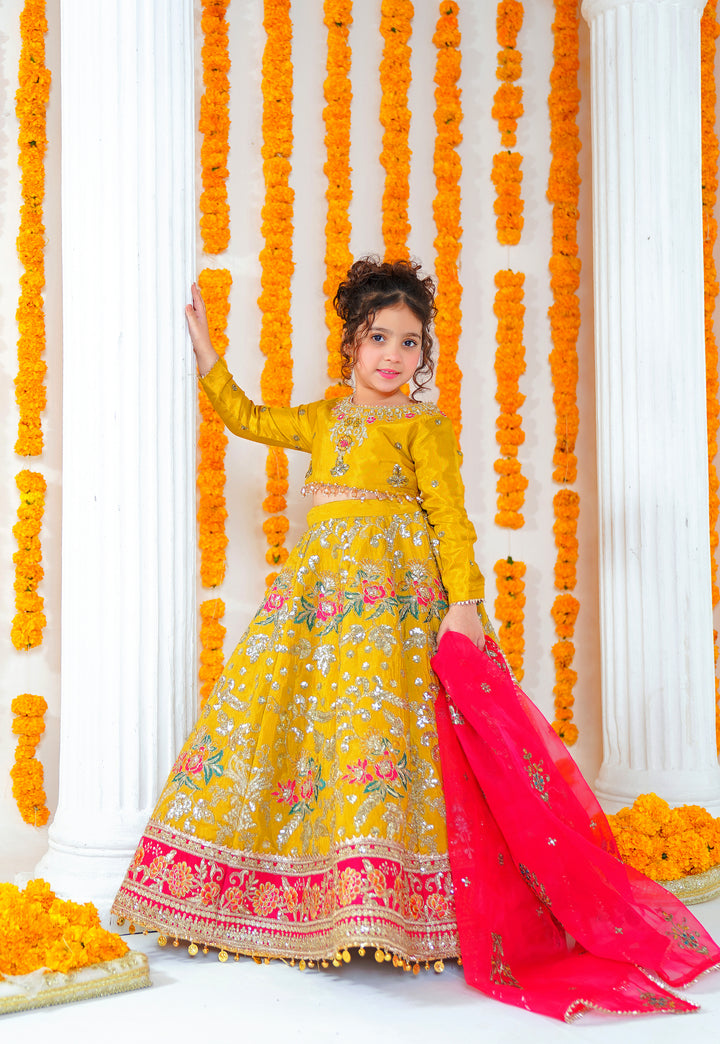 Kashees Moomal Collection | KMC-2 |