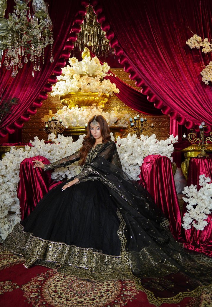 Kashees Naqsh Collection| KNNC-3|