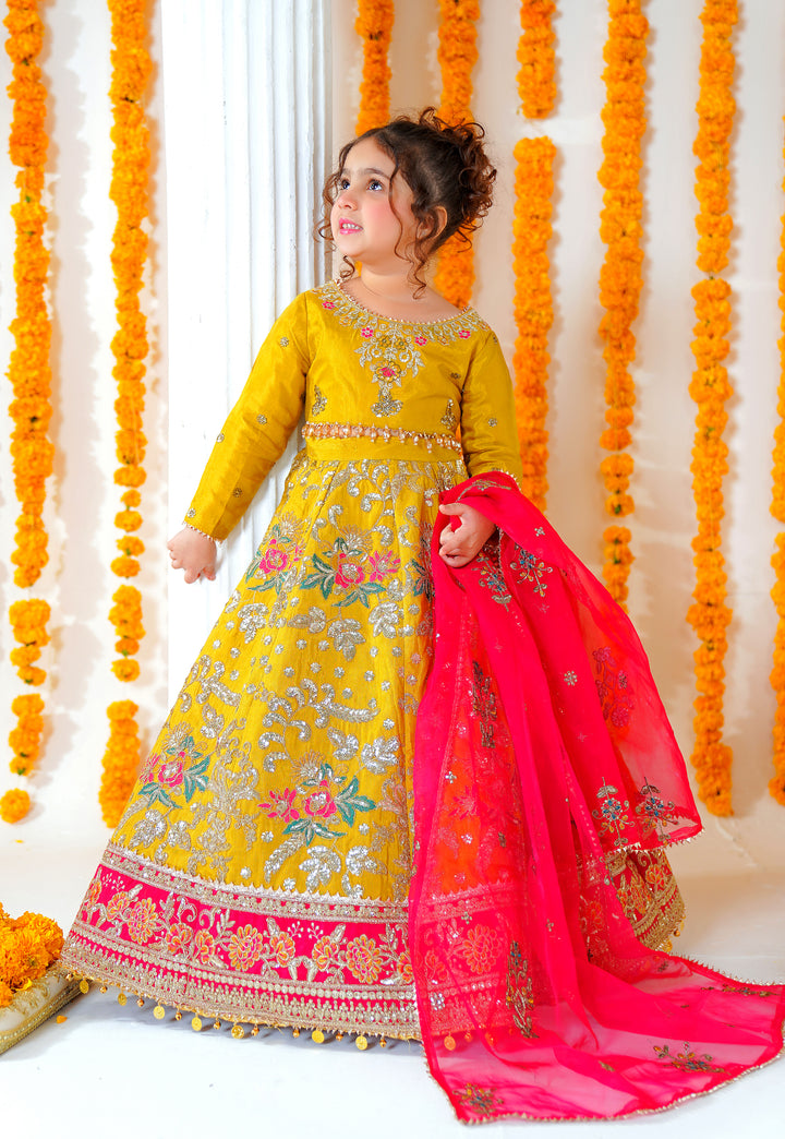 Kashees Moomal Collection | KMC-2 |