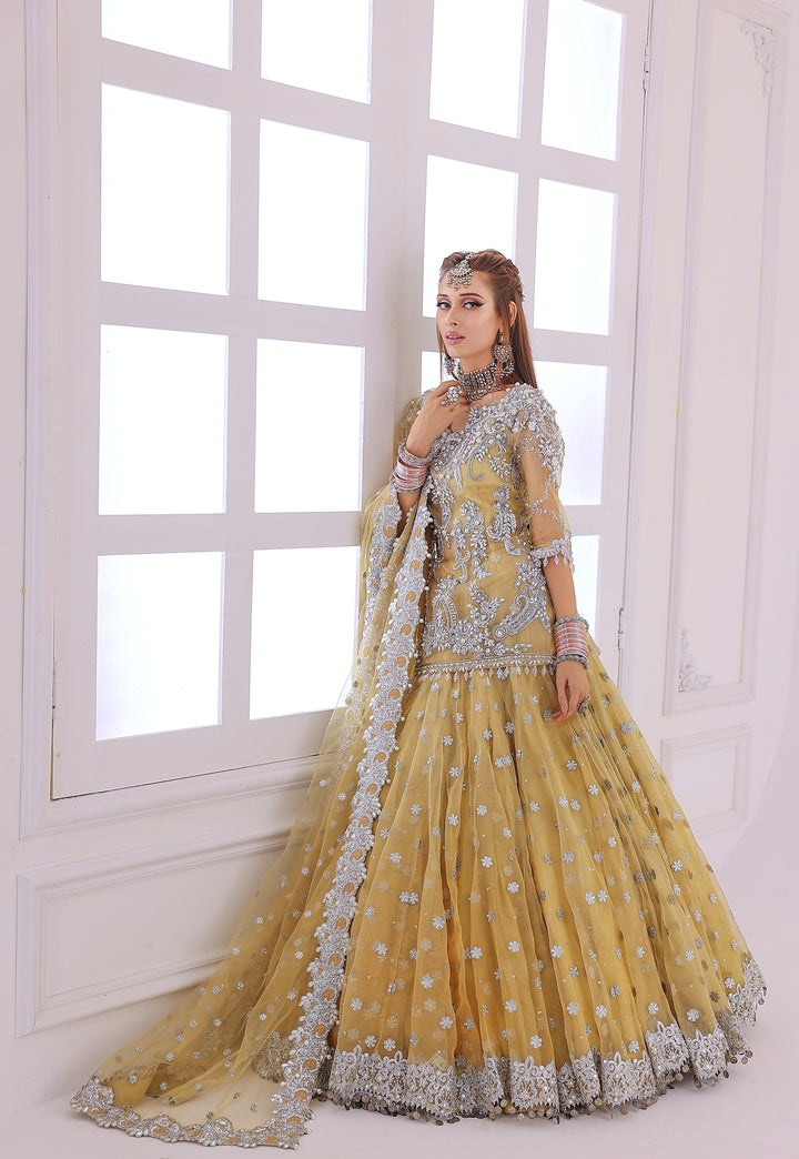 Pari Shah Collection | KPSC-004 |