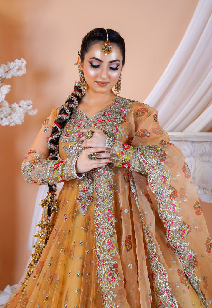 Kashees Naqsh Collection| KNNC-7|