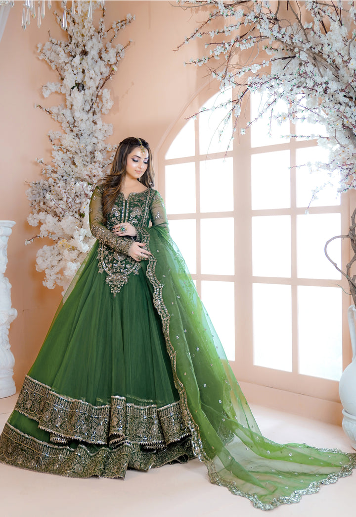Kashees Naqsh Collection| KNNC-6|