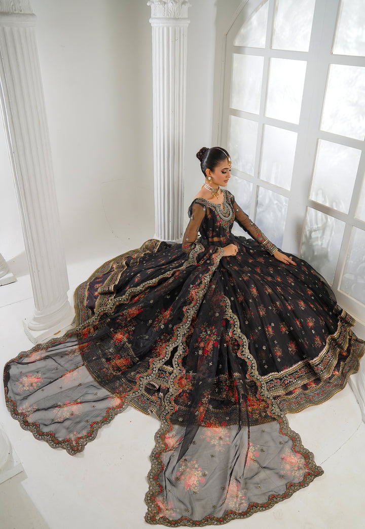 Kashees Naqsh Collection| KNNC-1 |