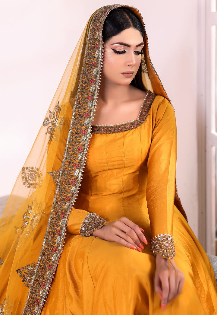 Kashees Naaz Collection | VOL-2 |