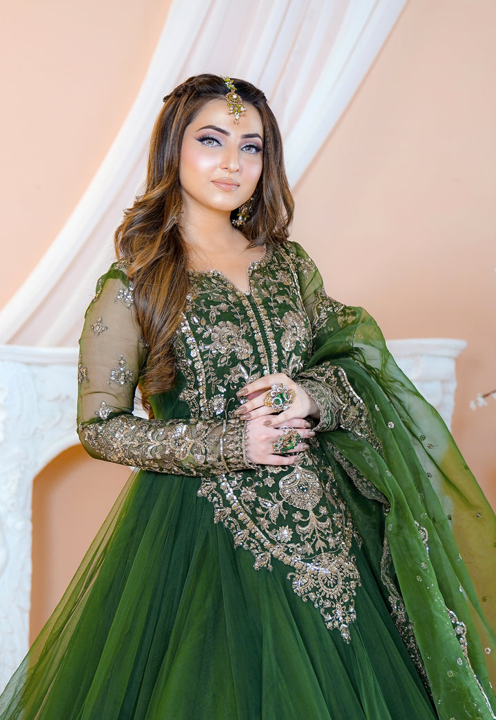Kashees Naqsh Collection| KNNC-6|
