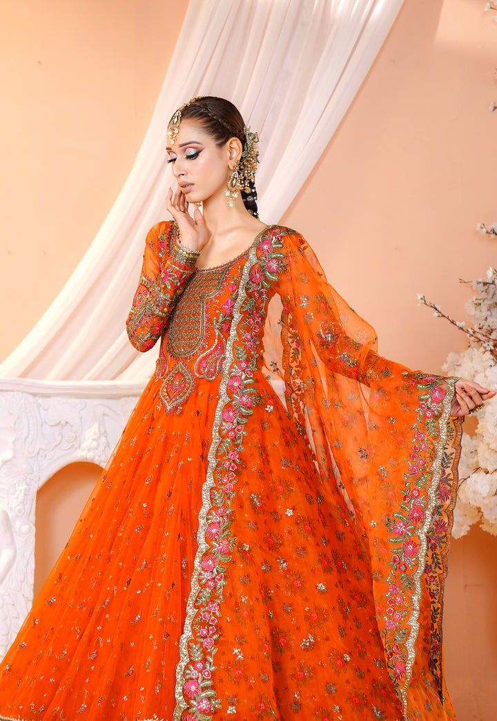 Kashees Naqsh Collection| KNNC-5|