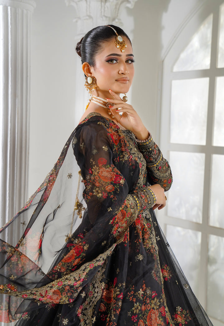 Kashees Naqsh Collection| KNNC-1 |