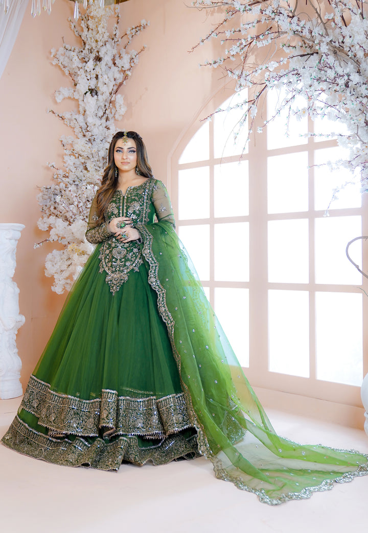 Kashees Naqsh Collection| KNNC-6|