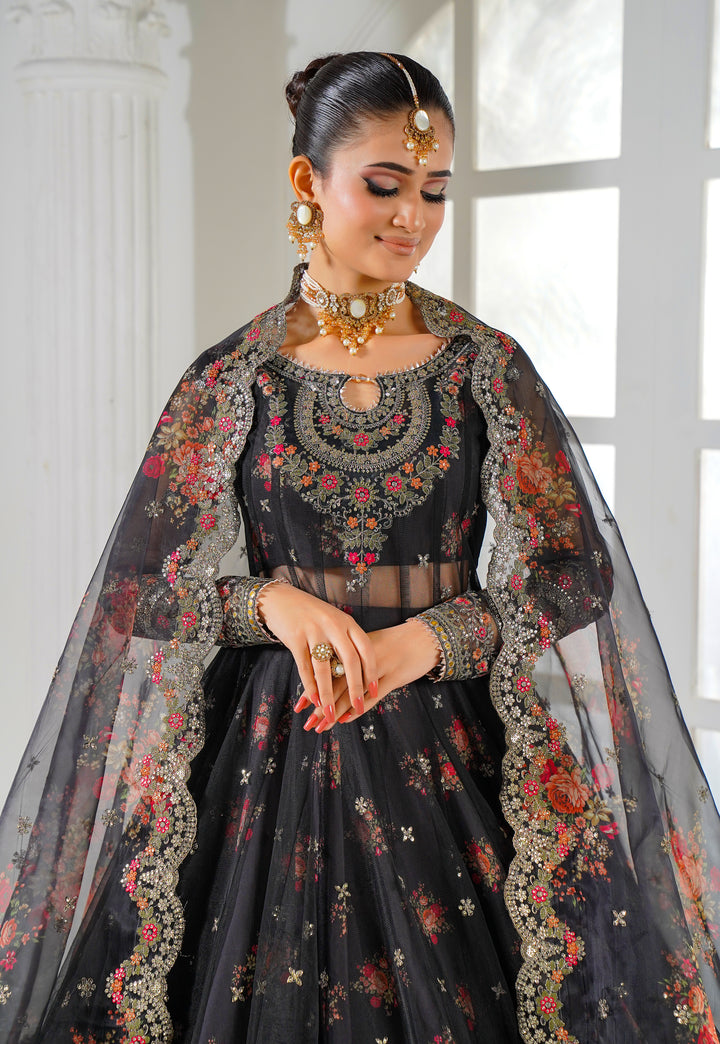 Kashees Naqsh Collection| KNNC-1 |