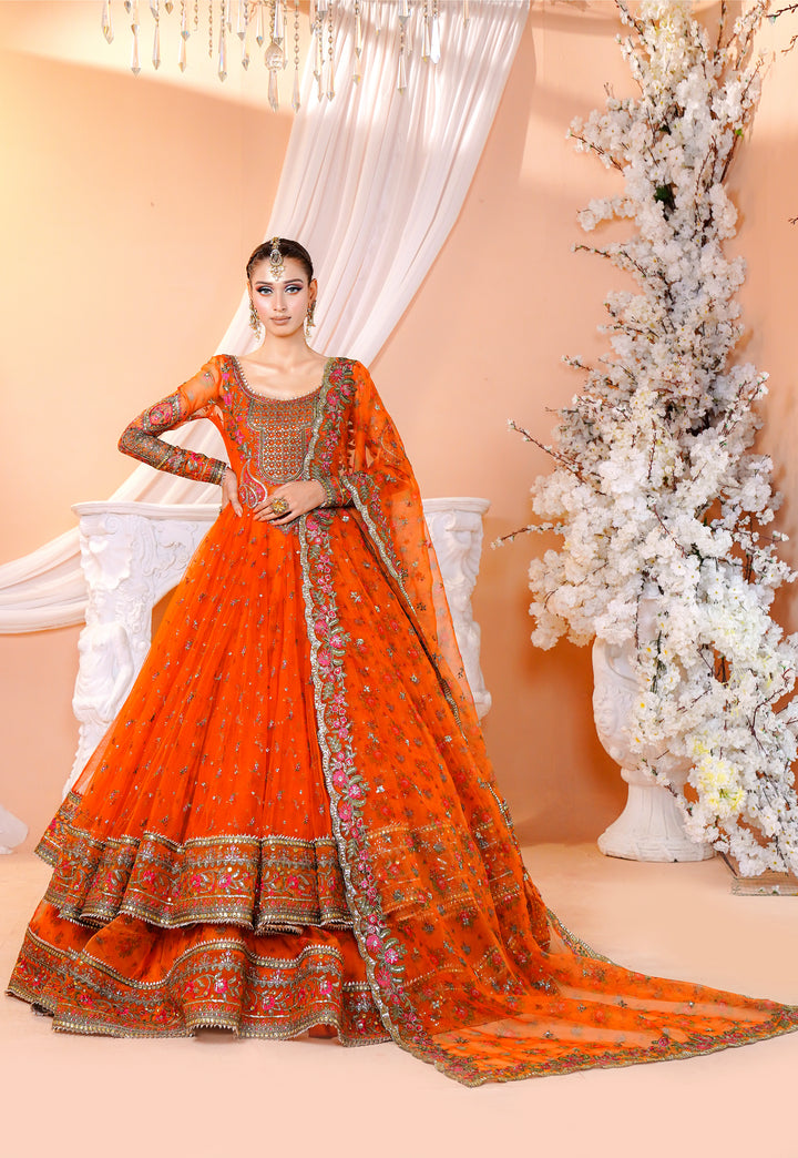 Kashees Naqsh Collection| KNNC-5|