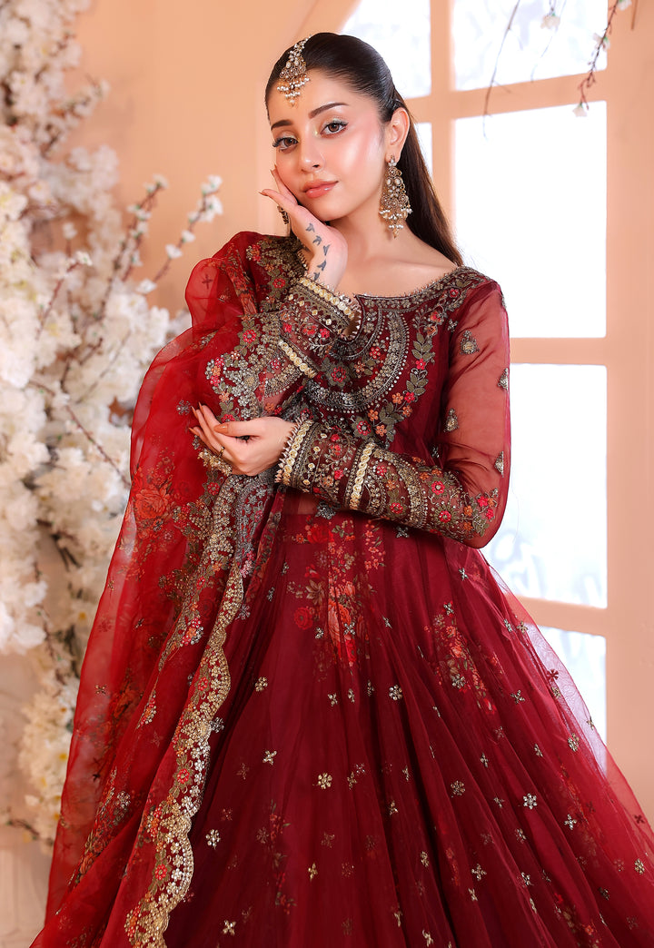Kashees Naqsh Collection| KNNC-4|