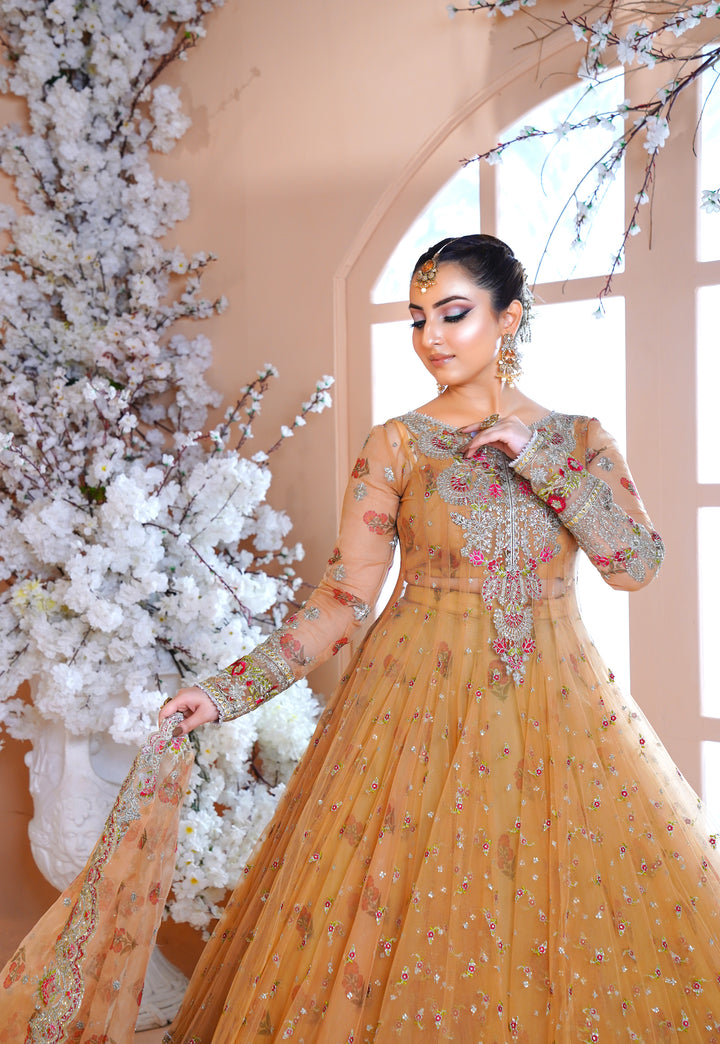 Kashees Naqsh Collection| KNNC-7|