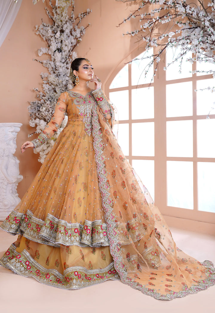Kashees Naqsh Collection| KNNC-7|