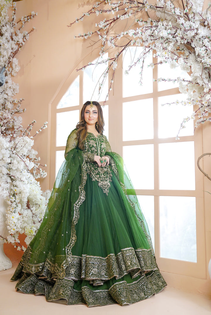 Kashees Naqsh Collection| KNNC-6|