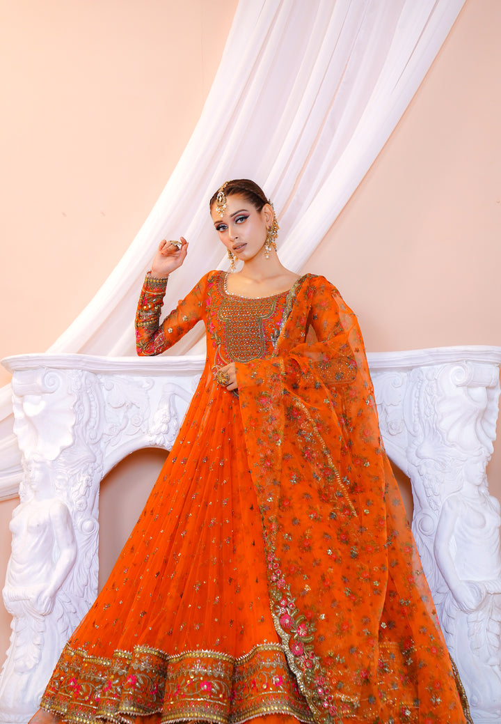 Kashees Naqsh Collection| KNNC-5|