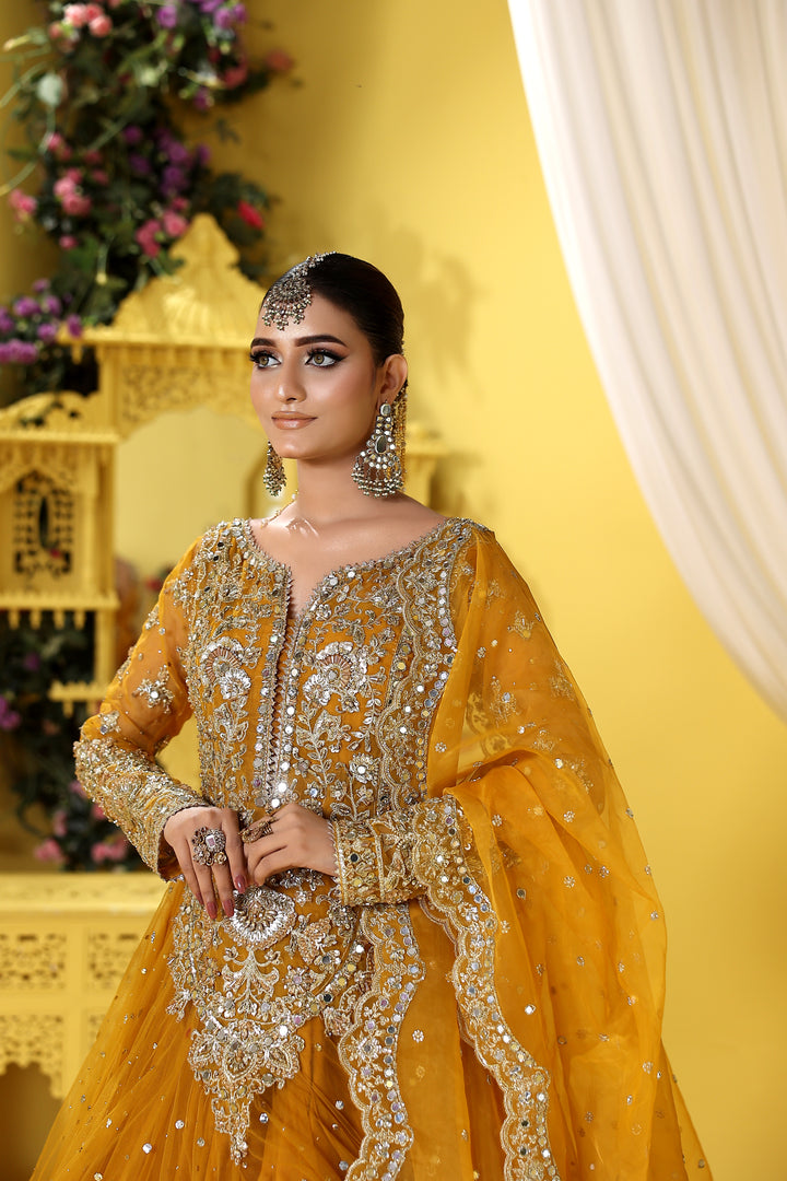 Kashees Naqsh Collection| KNNC-14|