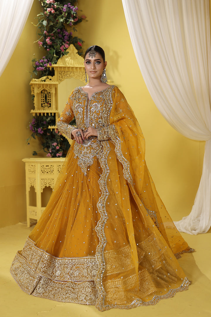 Kashees Naqsh Collection| KNNC-14|