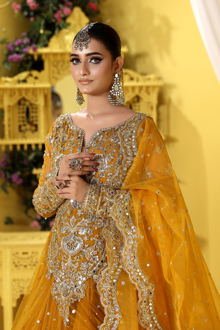 Kashees Naqsh Collection| KNNC-14|