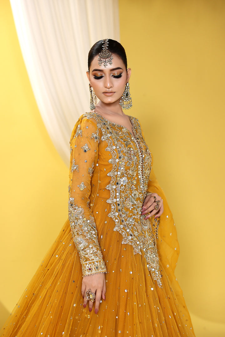 Kashees Naqsh Collection| KNNC-14|