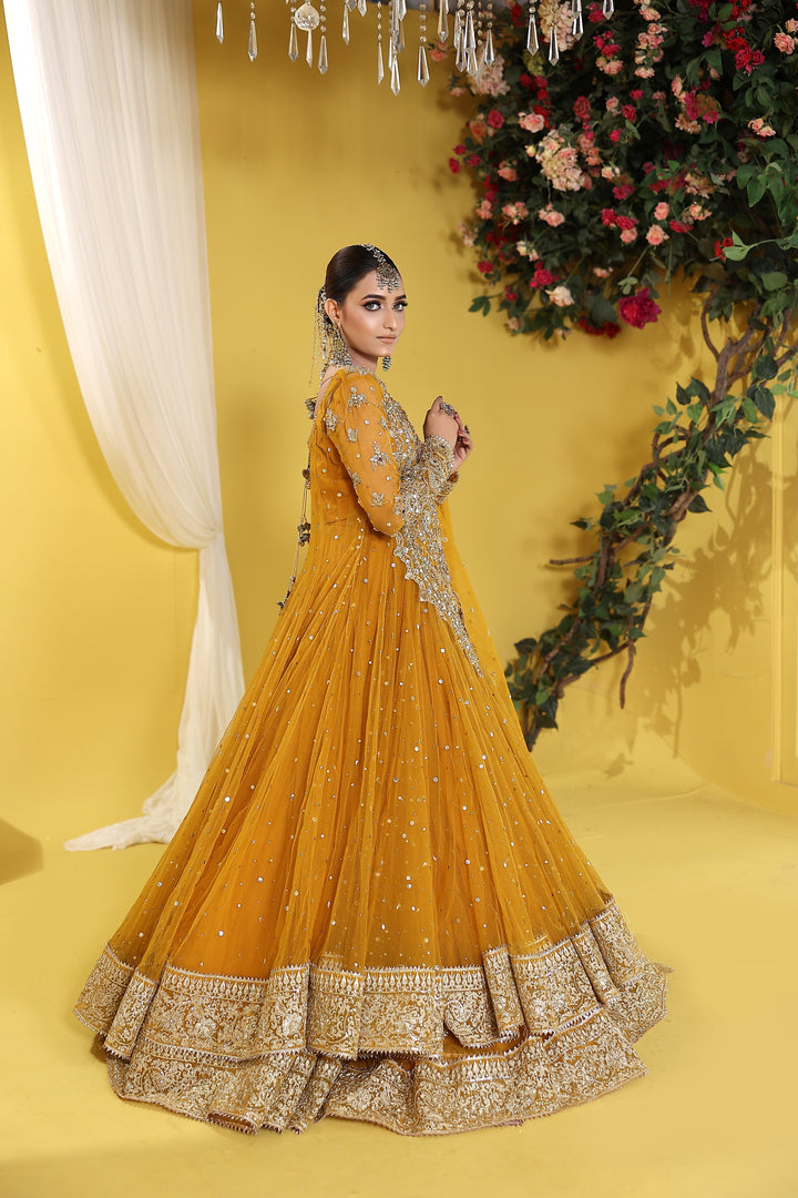Kashees Naqsh Collection| KNNC-14|