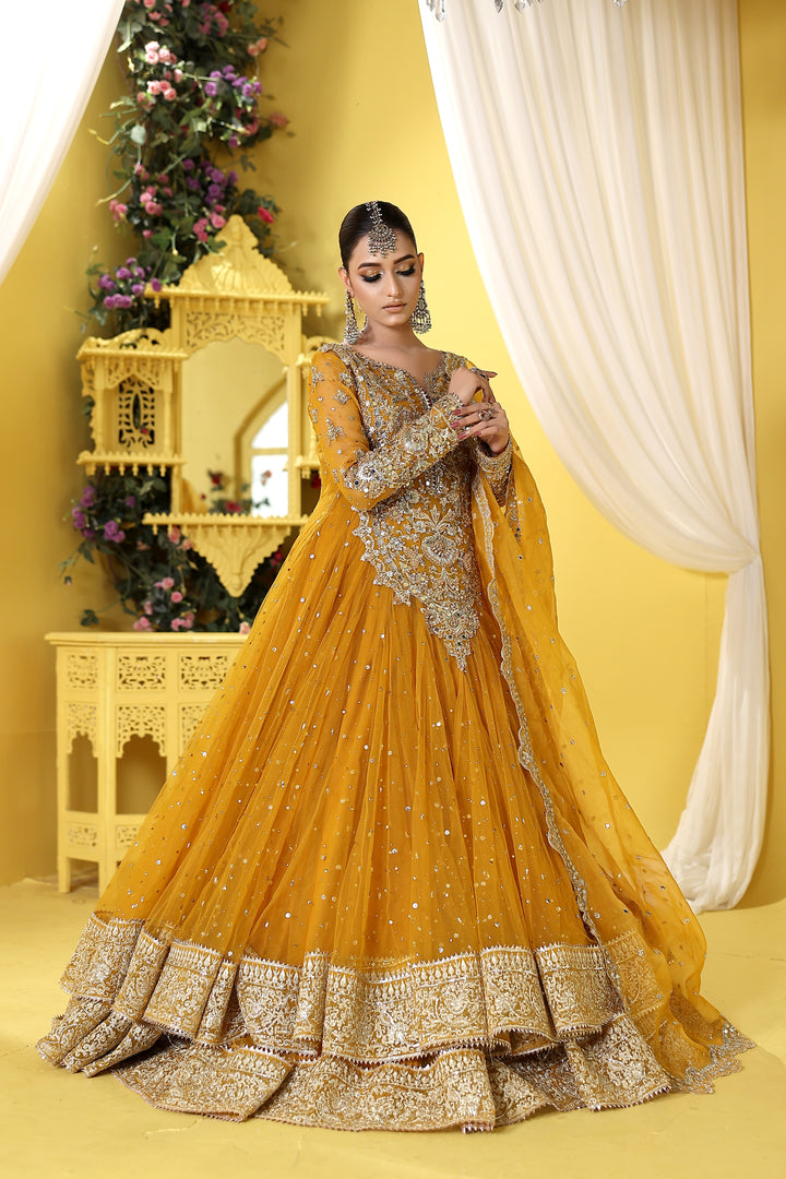 Kashees Naqsh Collection| KNNC-14|