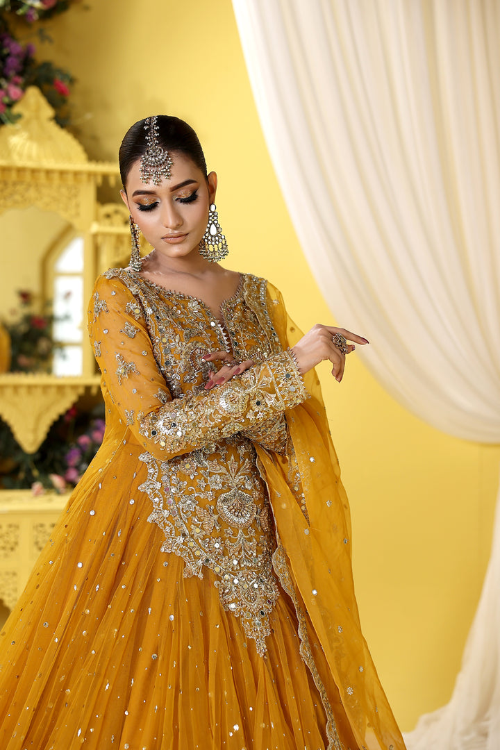 Kashees Naqsh Collection| KNNC-14|