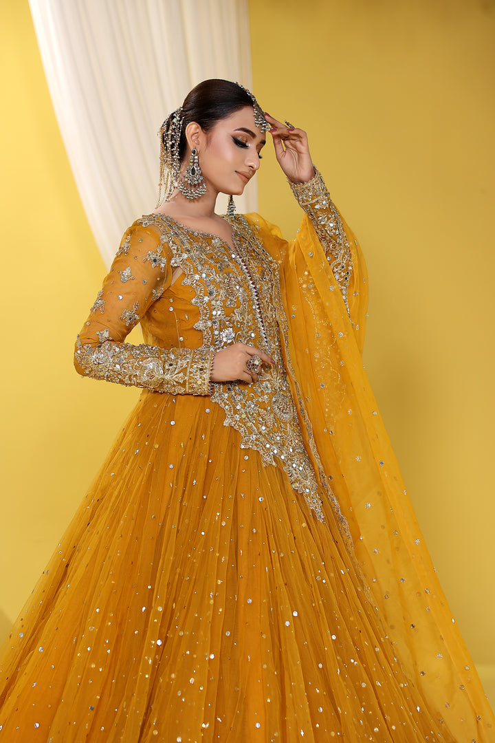 Kashees Naqsh Collection| KNNC-14|