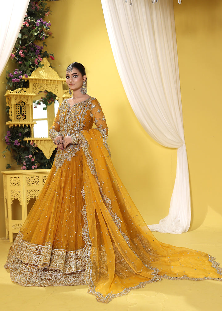 Kashees Naqsh Collection| KNNC-14|