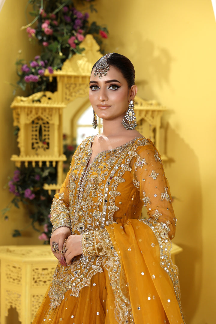 Kashees Naqsh Collection| KNNC-14|