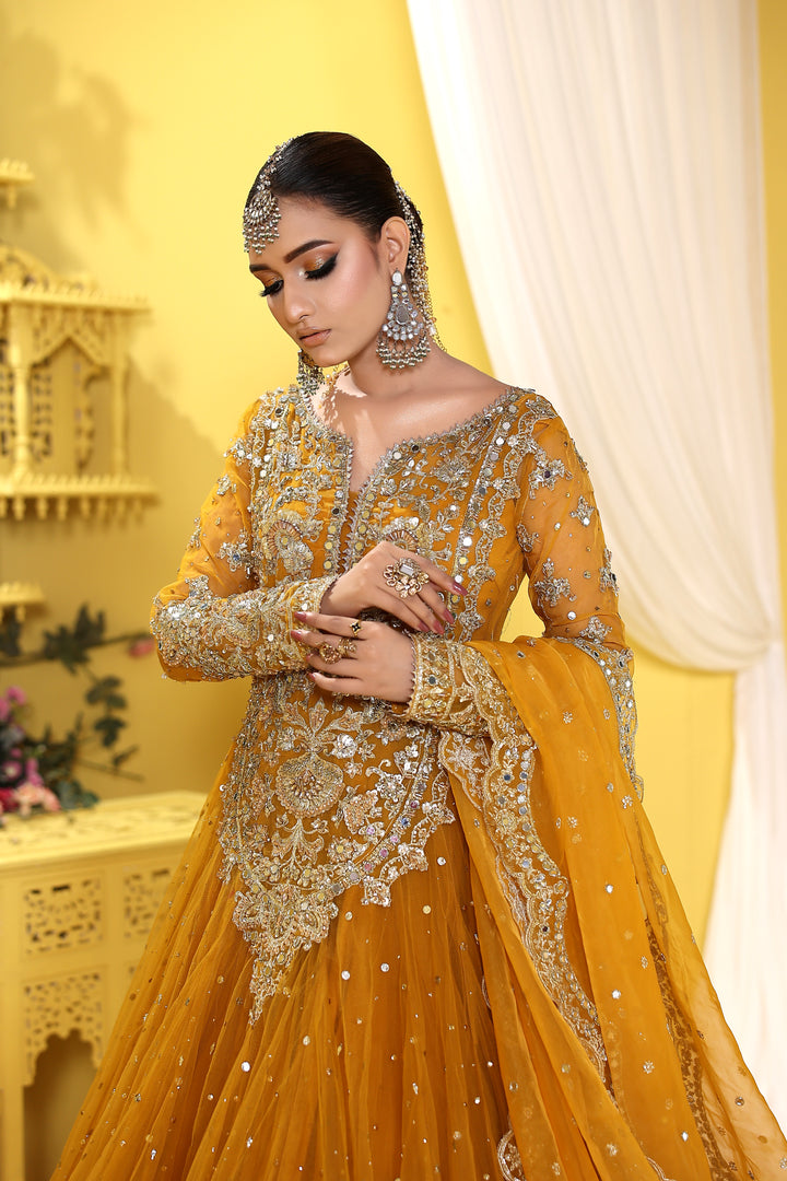 Kashees Naqsh Collection| KNNC-14|