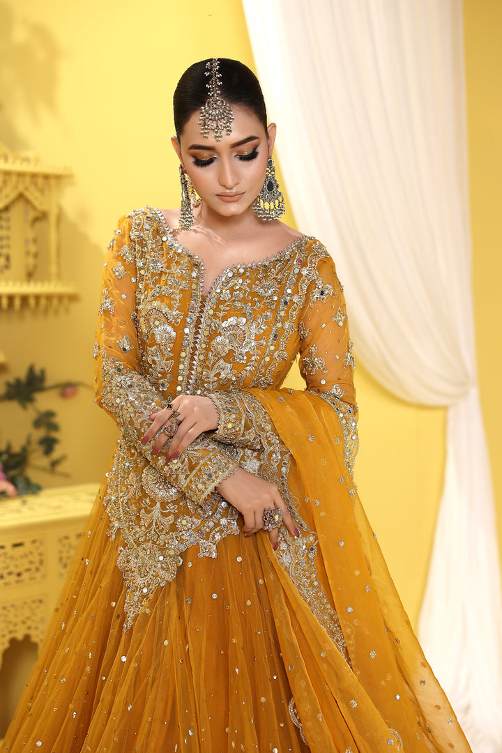 Kashees Naqsh Collection| KNNC-14|