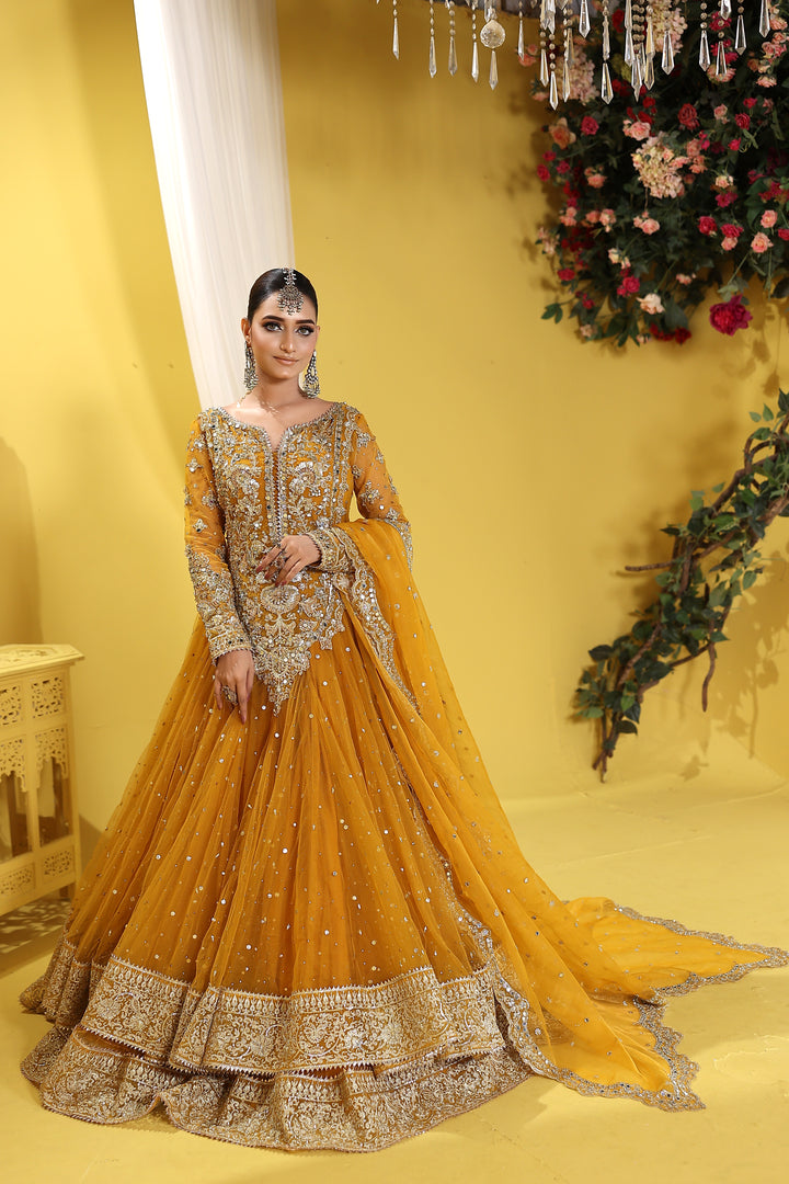 Kashees Naqsh Collection| KNNC-14|