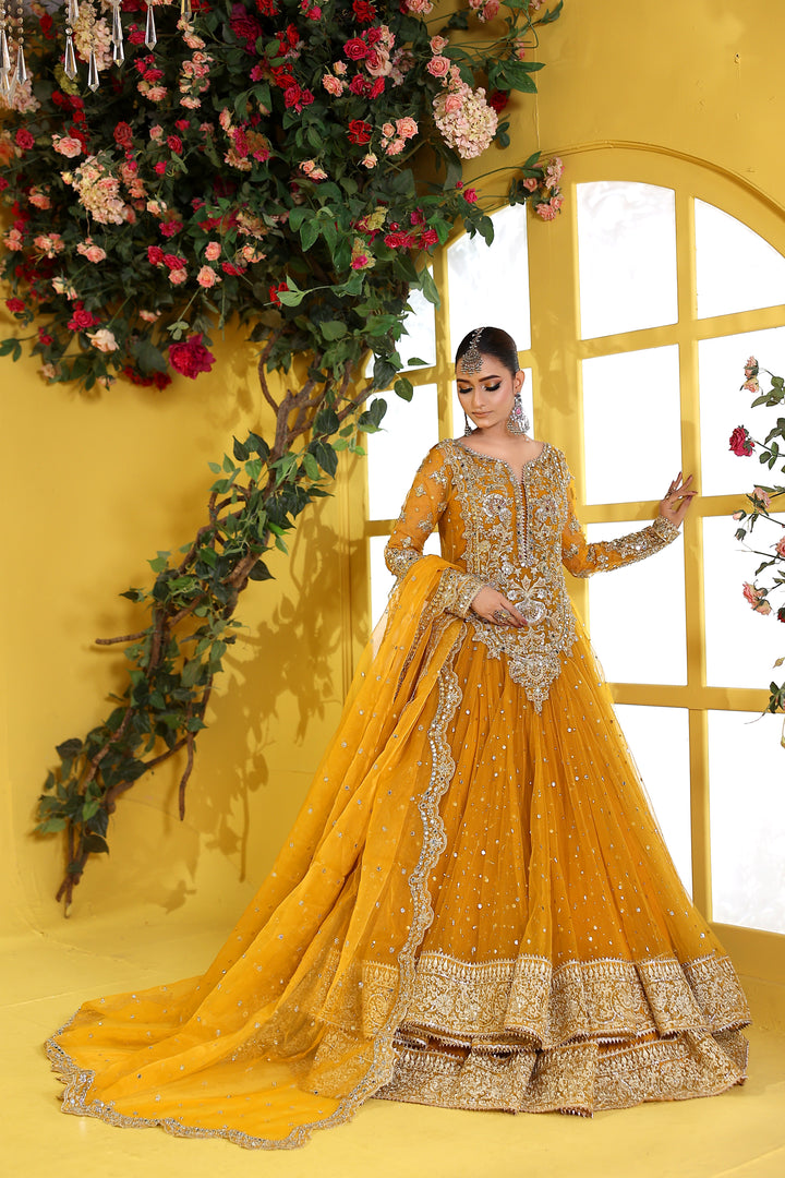 Kashees Naqsh Collection| KNNC-14|