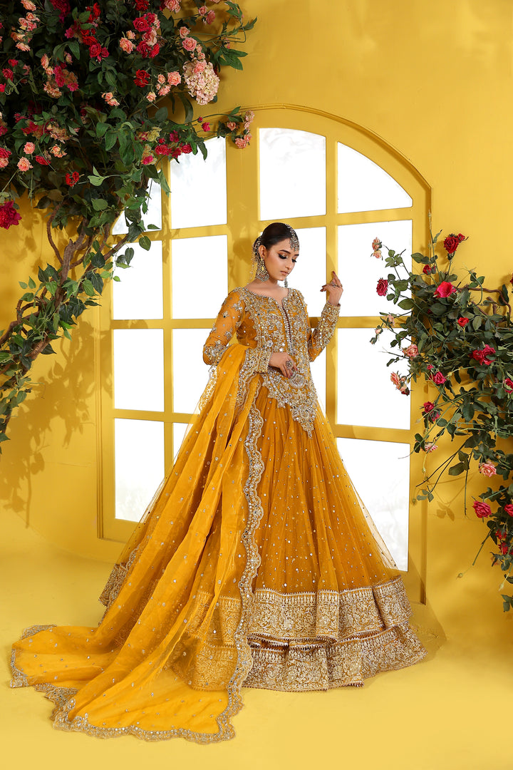 Kashees Naqsh Collection| KNNC-14|