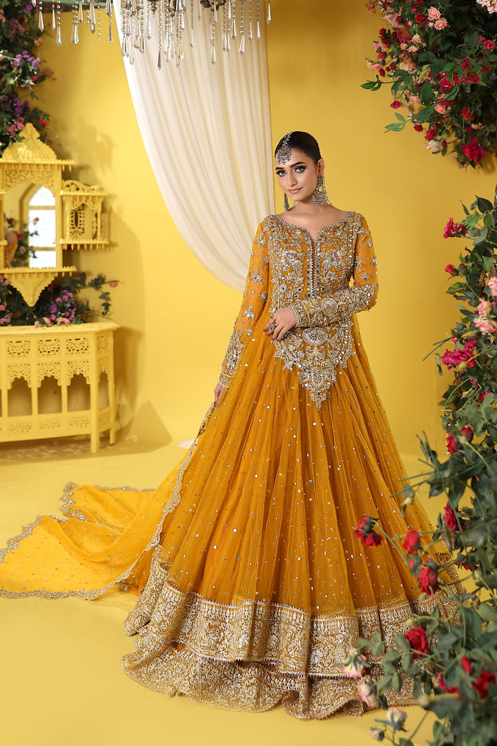 Kashees Naqsh Collection| KNNC-14|