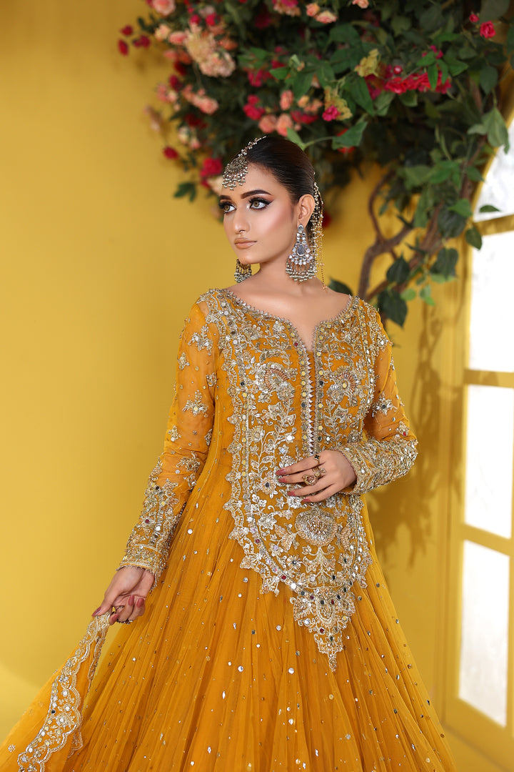 Kashees Naqsh Collection| KNNC-14|