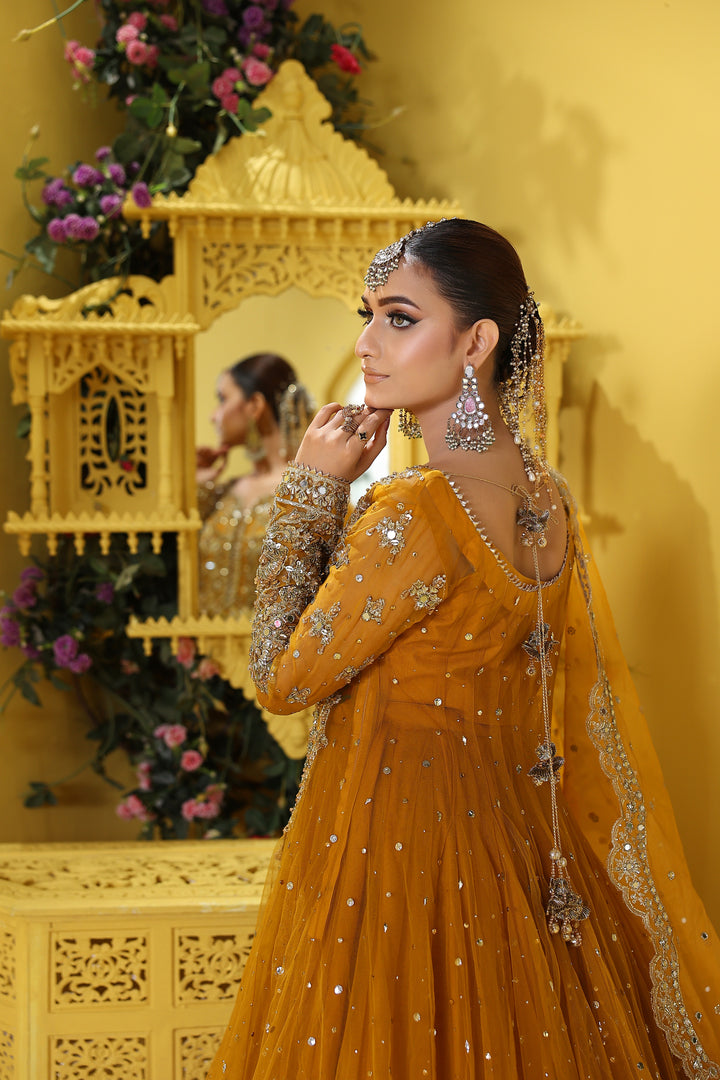 Kashees Naqsh Collection| KNNC-14|