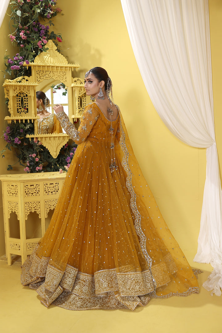 Kashees Naqsh Collection| KNNC-14|
