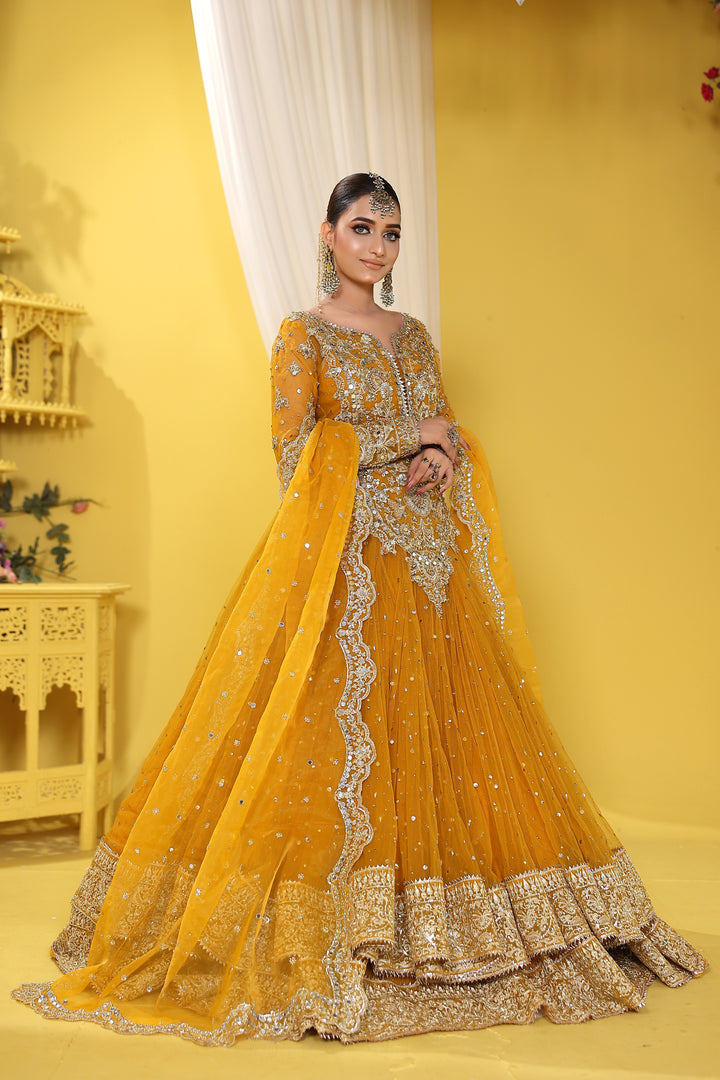Kashees Naqsh Collection| KNNC-14|