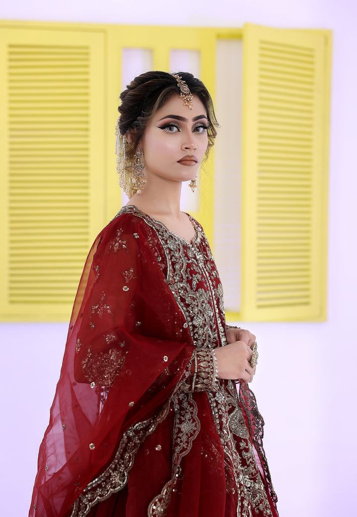 Kashees Naqsh Collection| KNNC-12|