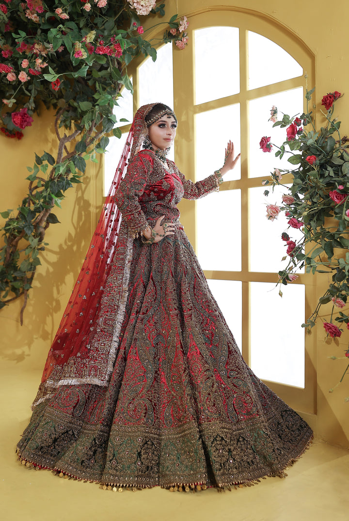 Kashees Bridal Wear| KBW-165 |