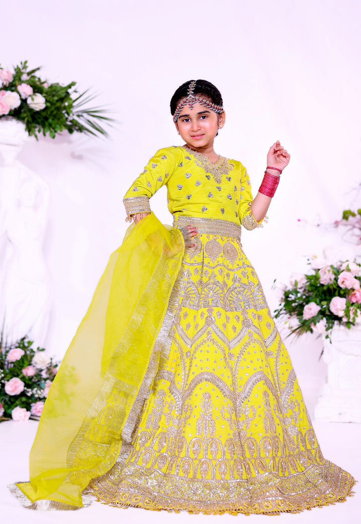 Nanhi Hoor Collection |KNH-004|
