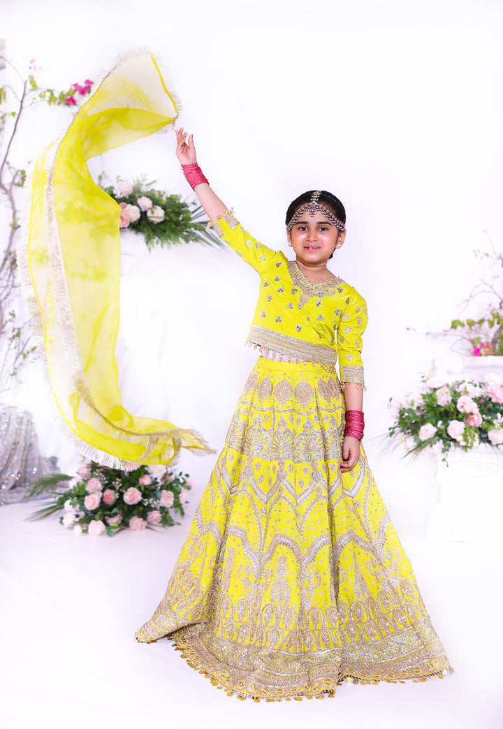 Nanhi Hoor Collection |KNH-004|